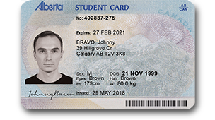 fake ontario drivers license template