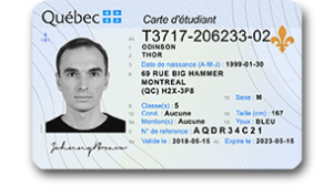 generate fake french id card